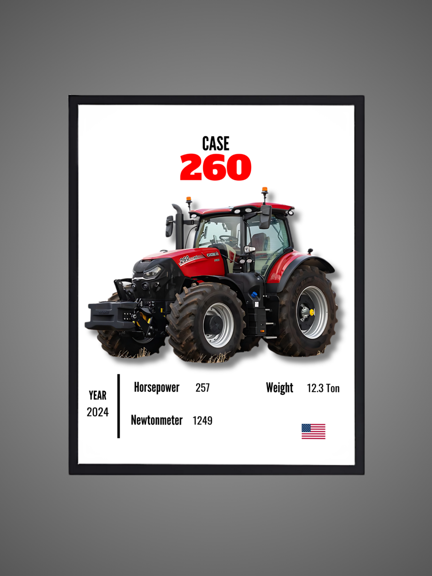 Case 260 - Wall Poster