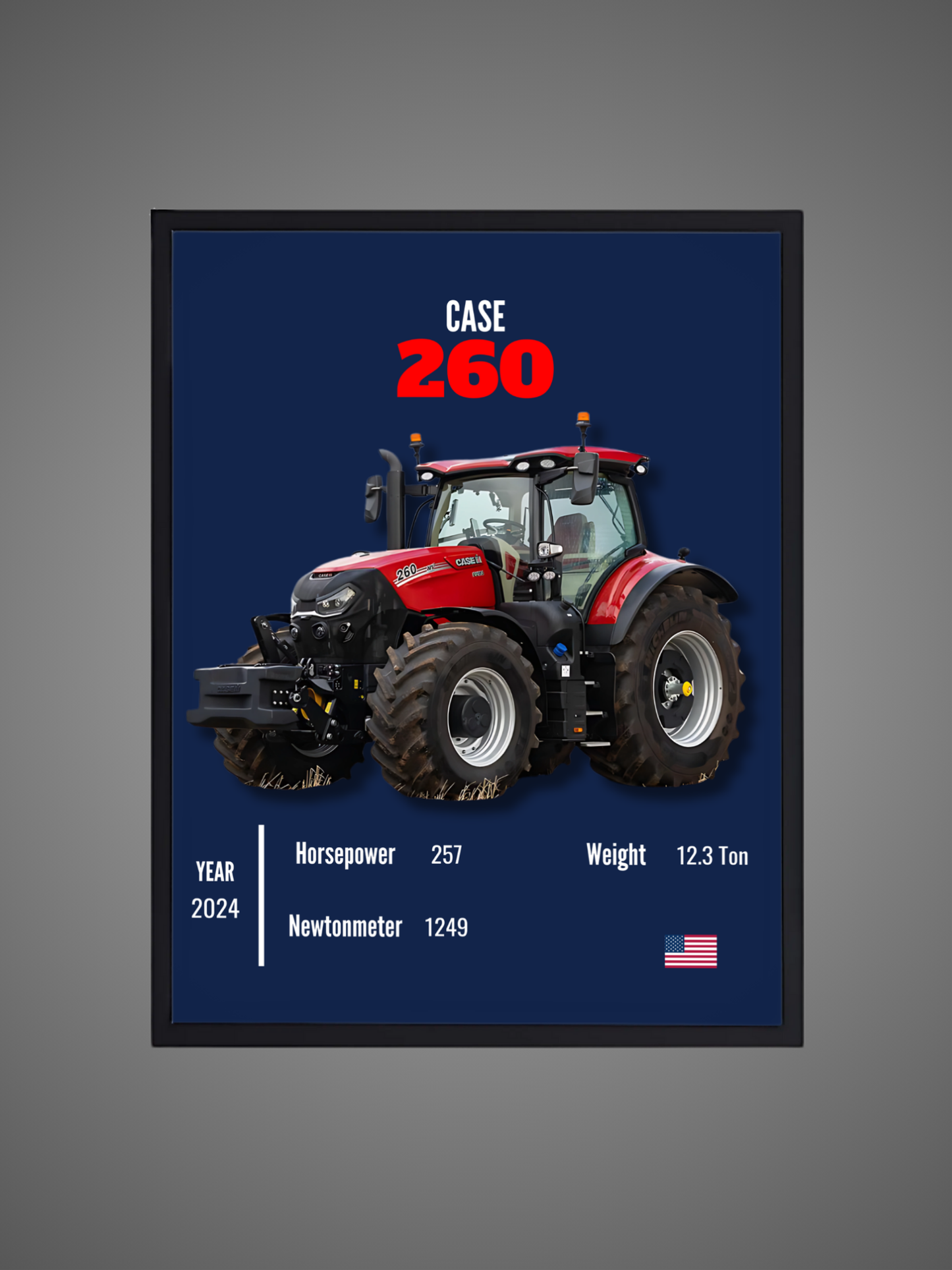 Case 260 - Wall Poster