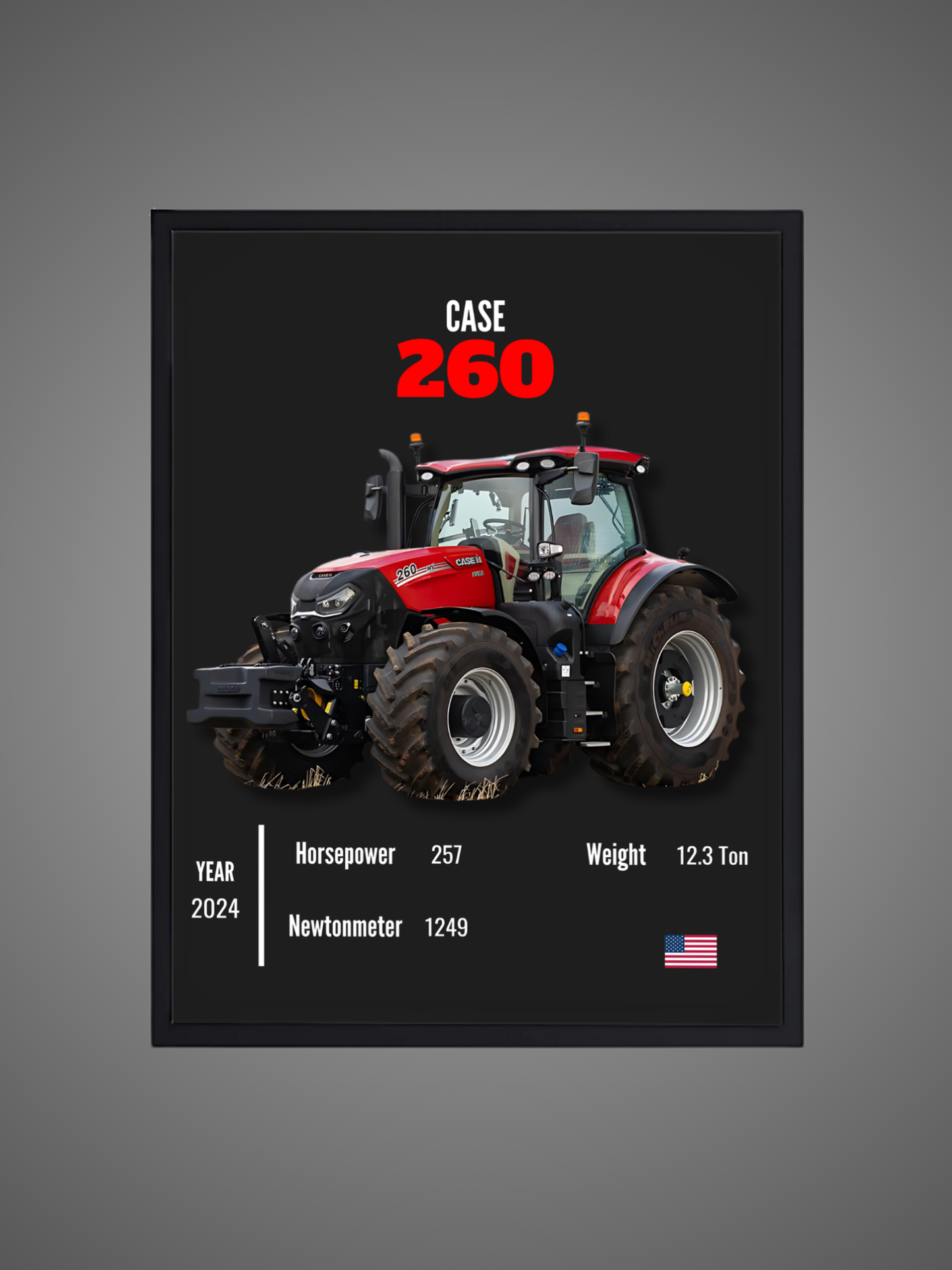 Case 260 - Wall Poster