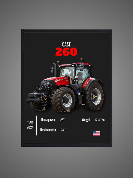 Case 260 - Wall Poster