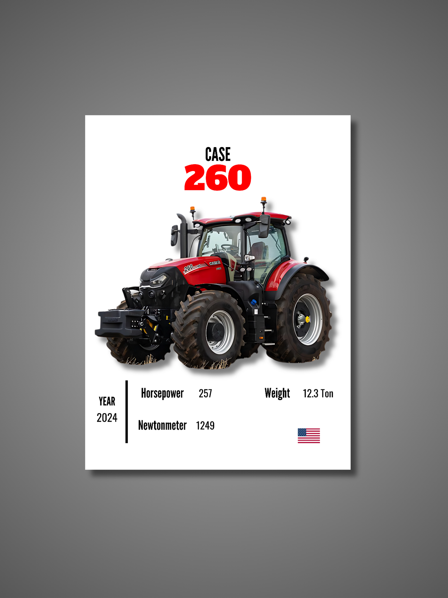 Case 260 - Wall Poster