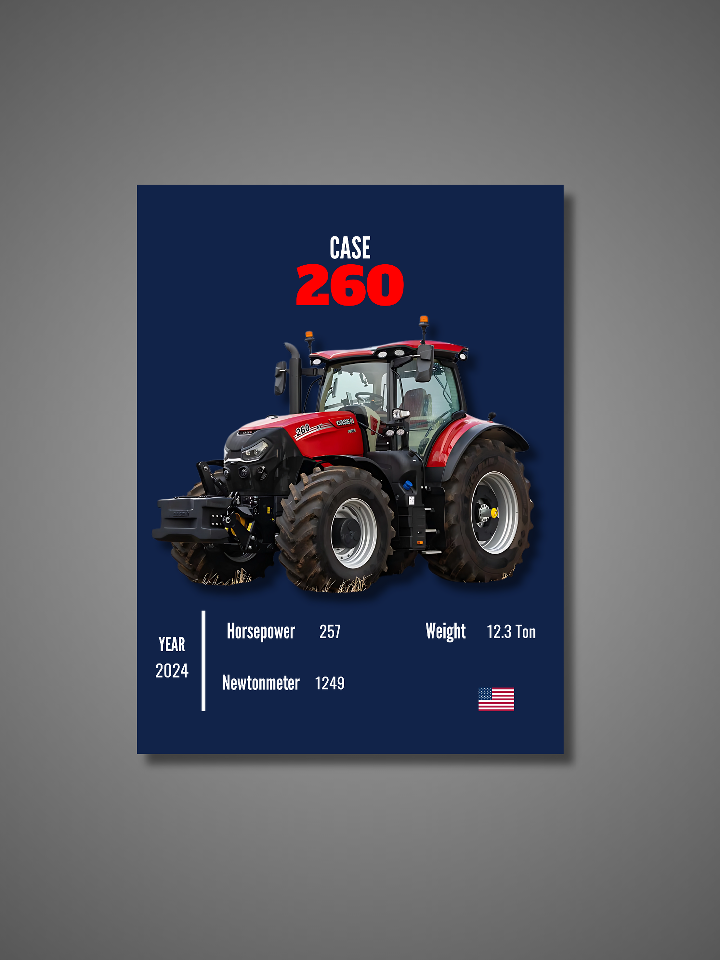 Case 260 - Wall Poster