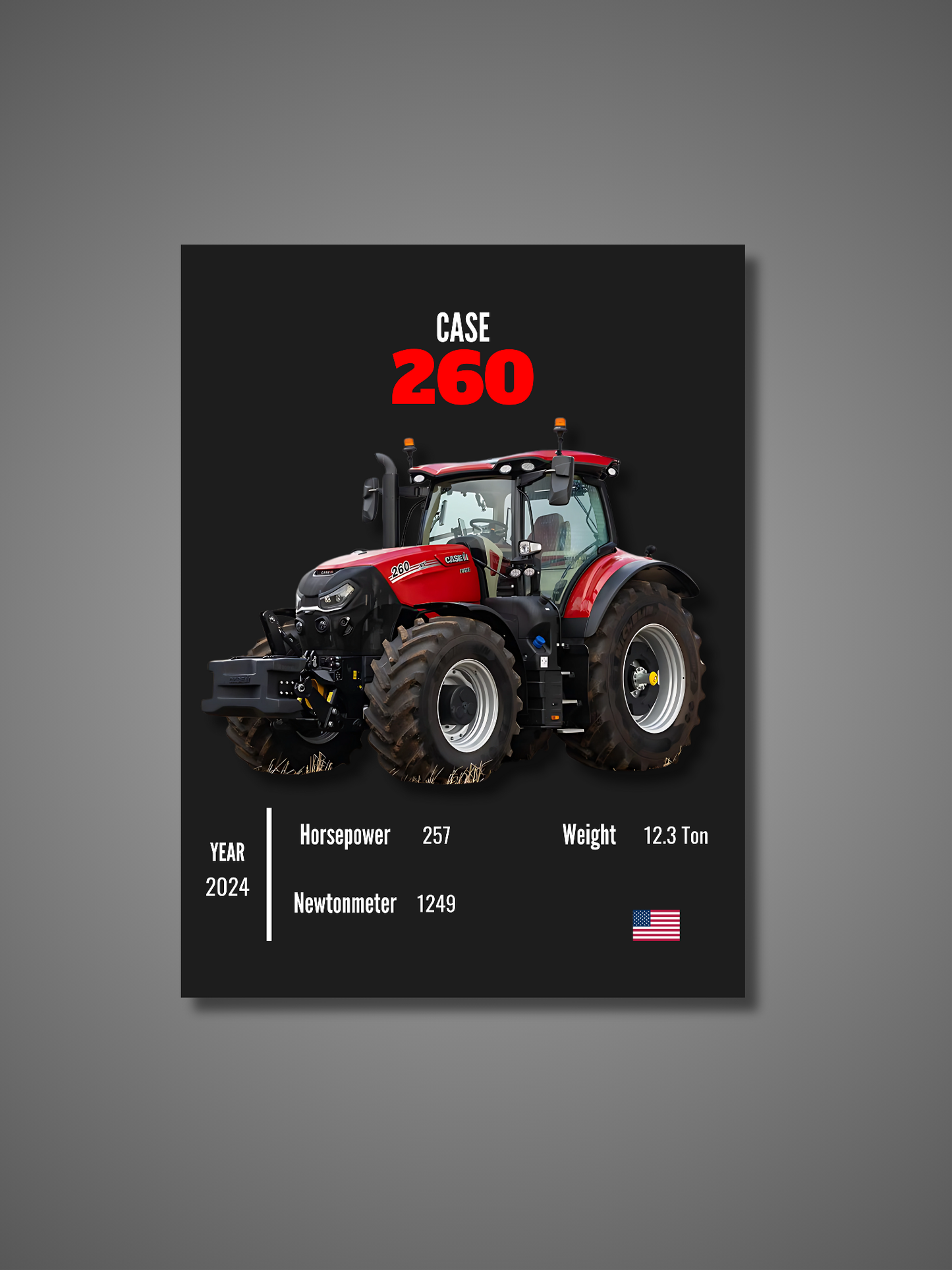 Case 260 - Wall Poster